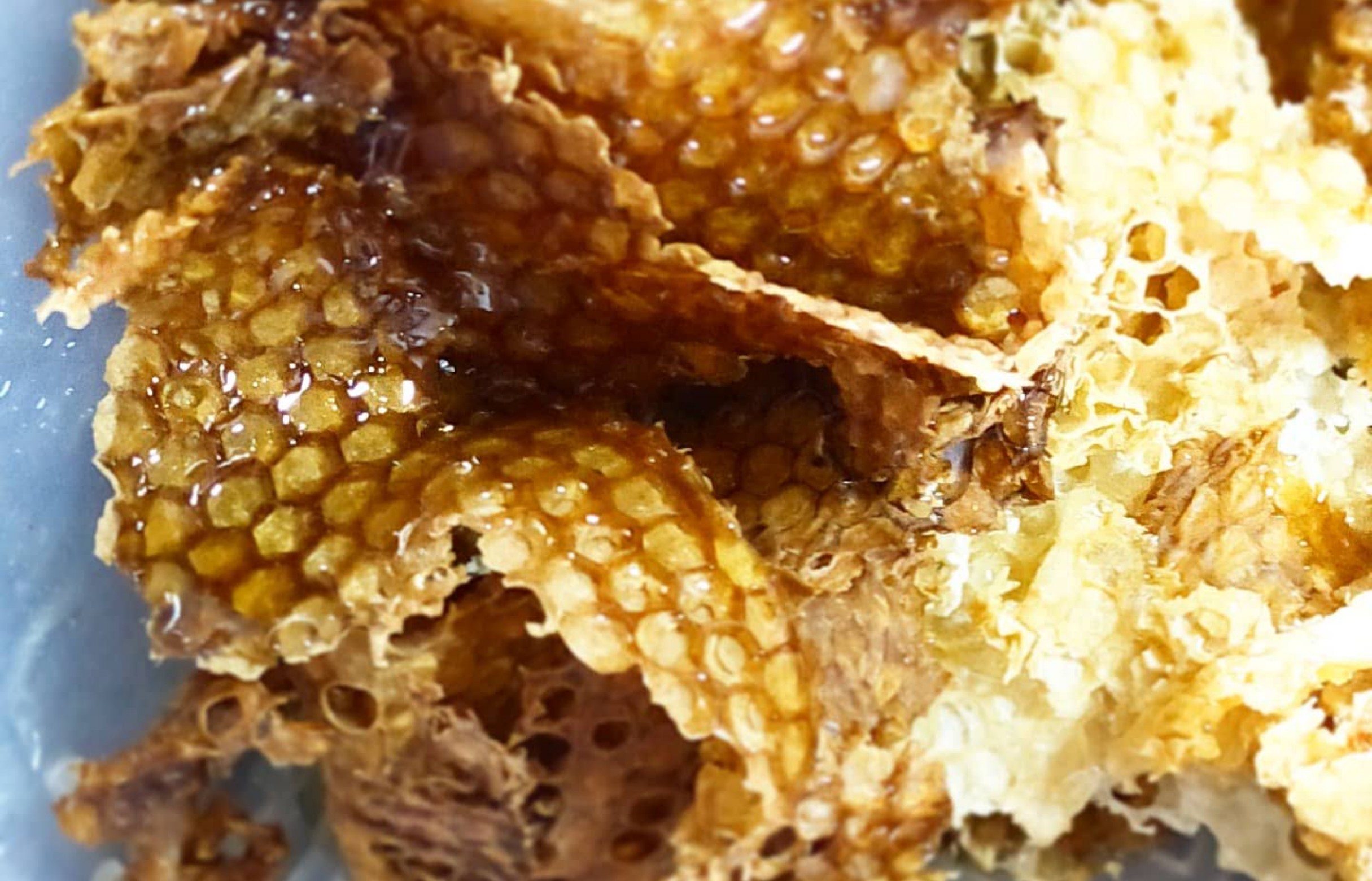 使用するミツロウは丸森町の石塚（いしづか）養蜂園のもの。年間で約100キロのミツロウがとれる。