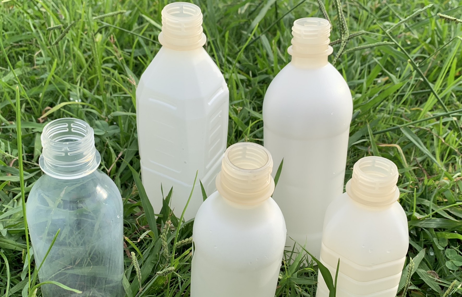 原料に石油を一切使わず、植物由来の素材（そざい）から開発したボトル。