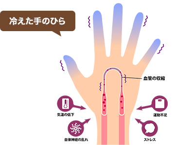 手足の冷えと血流について