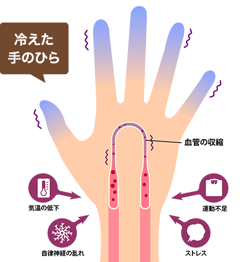 手足の冷えと血流について